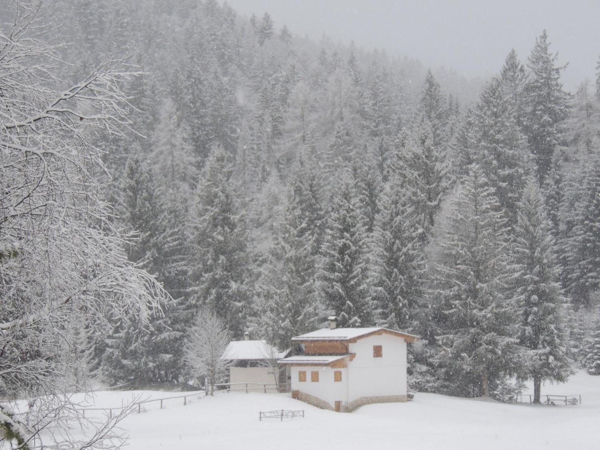 Il Falchetto Hotel Sarnonico